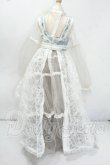 画像3: SDGrG/OF:Relic様製 衣装セット Y-26-08-11-009-WT-ZY (3)