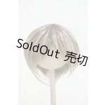 画像: 9-10inch/ウィッグ Y-26-08-18-066-WT-ZY