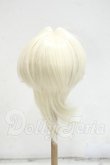 画像2: 8-9inch/DOLK SELECT:インテークショートヘア Y-26-08-18-067-WT-ZY (2)