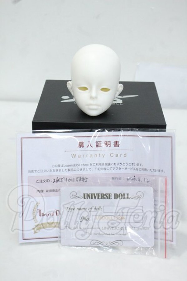 画像4: UNIVERSE DOLL/1/4ヘッド Philiks Y-26-08-04-170-WT-ZY (4)