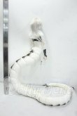 画像7: Fream Valley/Ehecatl Rule Ver. Fullset Y-26-08-04-174-WT-ZY (7)