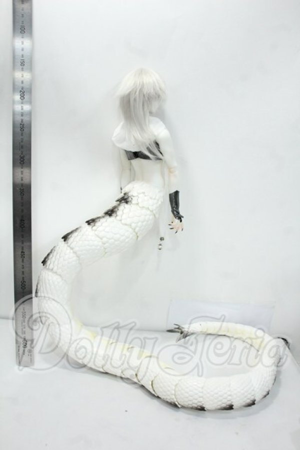 画像7: Fream Valley/Ehecatl Rule Ver. Fullset Y-26-08-04-174-WT-ZY (7)