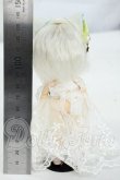画像3: DOLLCE/ミニスウィーツドール：ディル Y-26-08-04-015-WT-ZY (3)