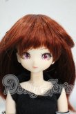 画像1: DOLLCE/アニスヘッド+オビツ22ボディ Y-26-08-04-018-WT-ZY (1)