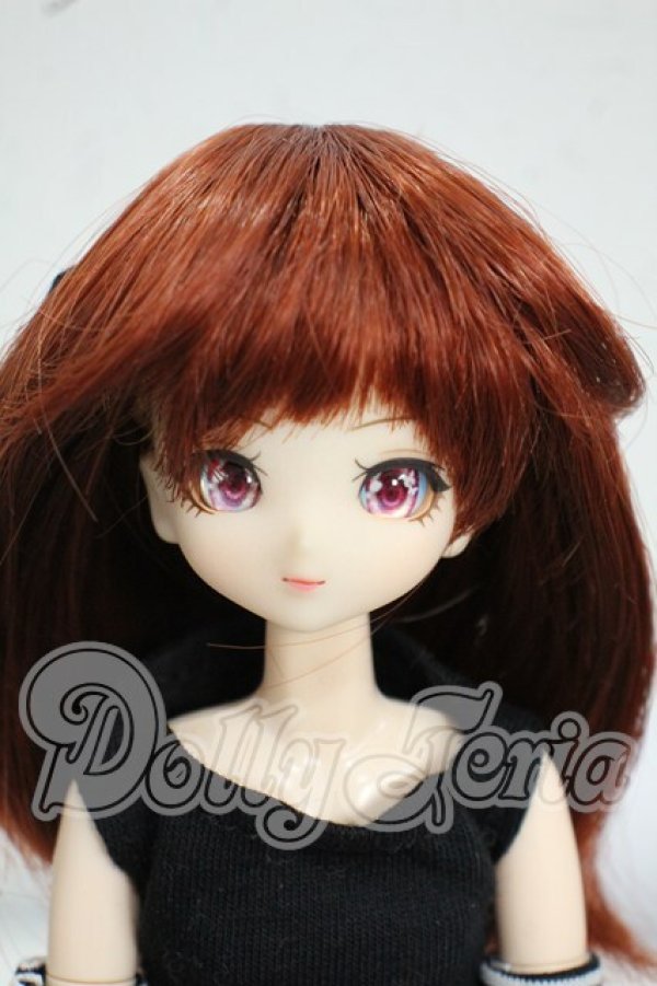 画像1: DOLLCE/アニスヘッド+オビツ22ボディ Y-26-08-04-018-WT-ZY (1)
