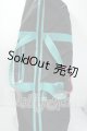 画像: DD/初音ミクキャリングケース改 Y-26-08-11-010-WT-ZY