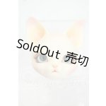 画像: PIPOS DOLL/R.PIタイプ ヘッド Y-26-08-18-365-WT-ZY