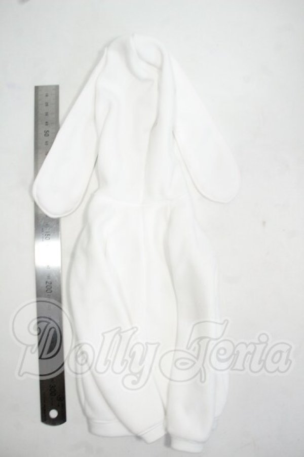 画像2: DD/OF:パーカー Y-26-08-11-233-WT-ZY (2)