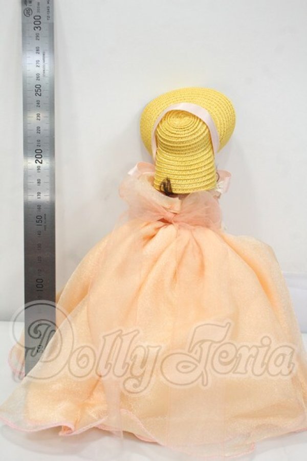 画像3: Madame Alexander/ORANGE BLOSSOM MADCC 1999 - 80660 Y-26-08-11-168-WT-ZY (3)