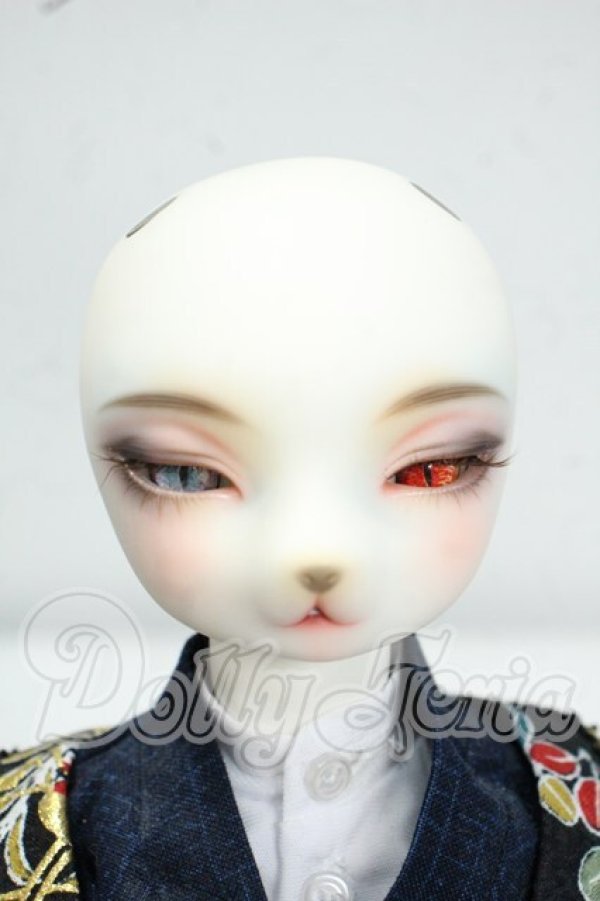 画像2: DEARMINE/LUNE COOL　文豪 limited ver. Y-26-08-18-133-WT-ZY (2)