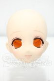 画像1: オビツ50/OBT50-04　カスタムヘッド Y-26-08-25-016-WT-ZY (1)