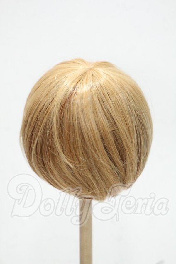 画像2: 9-10inch/ウィッグ Y-26-08-25-104-WT-ZY (2)