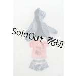 画像: リーメント/ぷちモードコレクション 1/6サイズ Y-26-08-25-070-WT-ZY