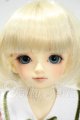 画像: SDM女の子/コーディネートモデル:白鳥 Y-26-08-25-160-WT-ZY
