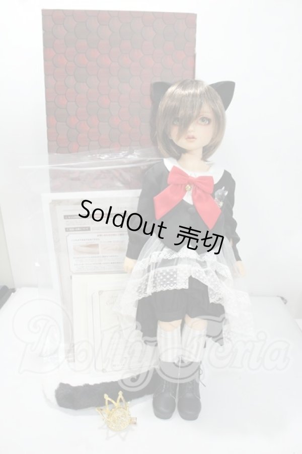 画像8: DearSD/まや Y-26-08-25-155-WT-ZY (8)