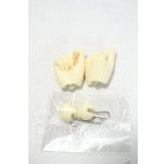 画像: MyouDOLL/1/4共通用ハンドパーツ Y-26-08-25-249-WT-ZY