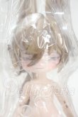 画像1: 月飛び時間/梧秋 Y-26-08-25-290-WT-ZY (1)