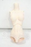 画像1: DD/上半身・下半身　外皮パーツ(DD-f3) Y-26-09-01-137-WT-ZY (1)