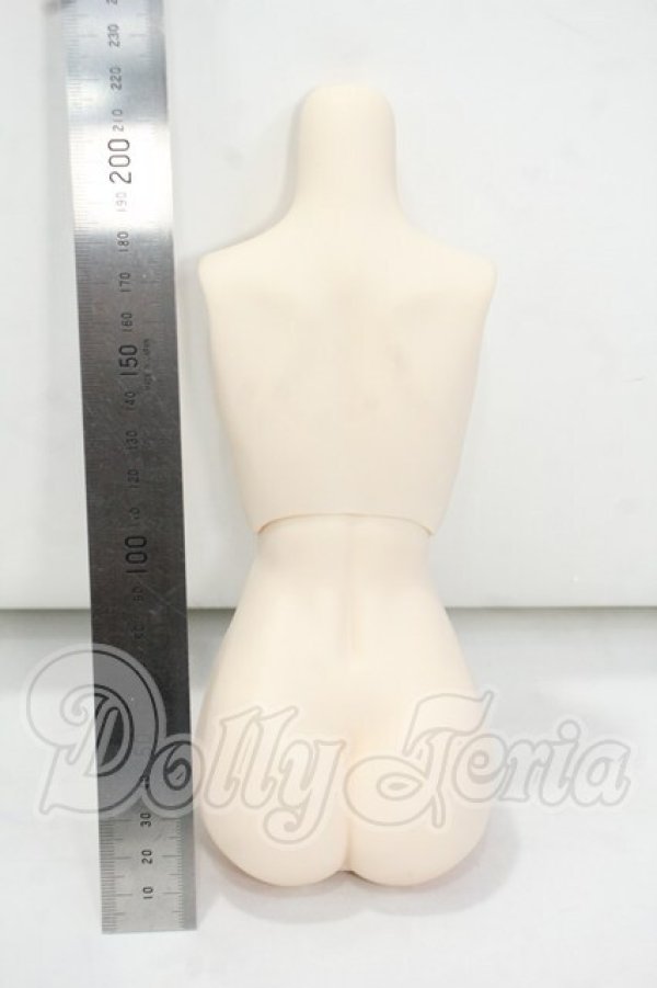 画像2: DD/上半身・下半身　外皮パーツ(DD-f3) Y-26-09-01-137-WT-ZY (2)