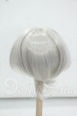 画像2: 6-7inch/ウィッグ Y-26-09-01-168-WT-ZY (2)