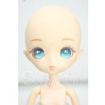 画像: ニア・ハルモニア/チャティー Y-26-09-01-206-WT-ZY
