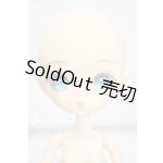 画像: ニア・ハルモニア/チャティー Y-26-09-01-206-WT-ZY