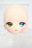 画像1: IMOMODOLL/RosenliaDoll様製 1/6スケール Dia-bヘッド Y-26-09-01-177-WT-ZY (1)