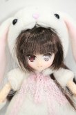 画像1: Lil’Fairy/〜うさぎ年のうさぎさん〜 ルオ Y-26-09-01-070-WT-ZY (1)