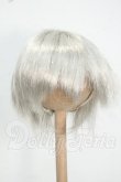 画像1: 7-8inch/ウィッグ Y-26-09-01-044-WT-ZY (1)