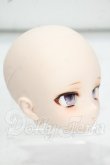 画像2: DDH-29/ぱんだどーる様製カスタムヘッド Y-26-09-01-143-WT-ZY (2)