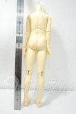 画像2: SDBOY/リゲル 星間学寮ver. ボディのみ Y-26-09-08-112-WT-ZY (2)