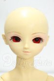 画像1: SD女の子/旧凌ヘッド+限定すわりっこボディ Y-26-09-08-240-WT-ZY (1)