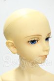 画像2: SD13男の子/フルチョイス:F-17 Y-26-09-08-246-WT-ZY (2)