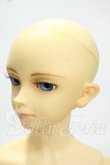 画像3: SD13男の子/フルチョイス:F-17 Y-26-09-08-246-WT-ZY (3)