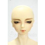 画像: SDGrB/遠夜 ドルパ20Ver.ヘッド+SDGr男の子ボディ Y-26-09-08-247-WT-ZY
