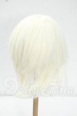 画像2: 9-10inch/ウィッグ Y-26-09-08-086-WT-ZY (2)