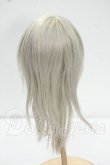画像2: 9-10inch/ウィッグ Y-26-09-08-089-WT-ZY (2)