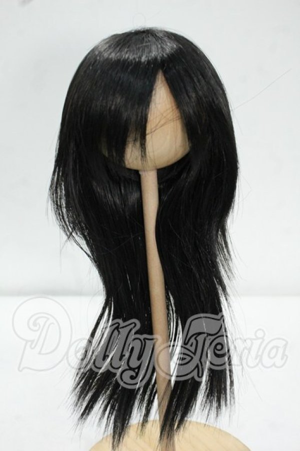 画像1: 9-10inch/ウィッグ Y-26-09-08-099-WT-ZY (1)