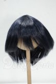 画像1: 9-10inch/ウィッグ Y-26-09-08-098-WT-ZY (1)