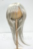 画像1: 8-9inch/ウィッグ Y-26-09-08-080-WT-ZY (1)
