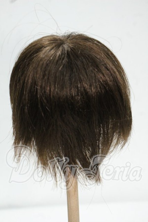 画像2: 8-9inch/ウィッグ Y-26-09-08-068-WT-ZY (2)