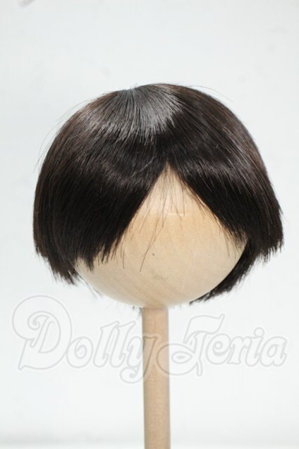 画像1: 8-9inch/ウィッグ Y-26-09-08-067-WT-ZY (1)