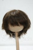 画像1: 7-8inch/ウィッグ Y-26-09-08-109-WT-ZY (1)