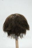 画像2: 7-8inch/ウィッグ Y-26-09-08-109-WT-ZY (2)