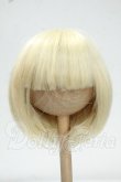 画像1: 7-8inch/ウィッグ Y-26-09-08-108-WT-ZY (1)