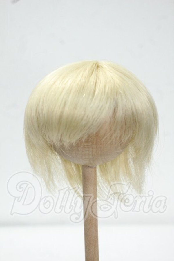 画像1: 7-8inch/ウィッグ Y-26-09-08-103-WT-ZY (1)