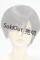 画像: SDGｒ/近衛竜也 Y-26-09-08-242-WT-ZY