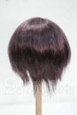 画像2: 8-9inch/ウィッグ Y-26-09-08-173-WT-ZY (2)