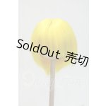 画像: 8-9inch/ウィッグ Y-26-09-22-146-WT-ZY