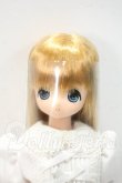 画像1: azone/えっくす☆きゅーと Princess Chiika(ちいか) 〜ツバメにのって〜 Y-26-09-08-268-WT-ZY (1)